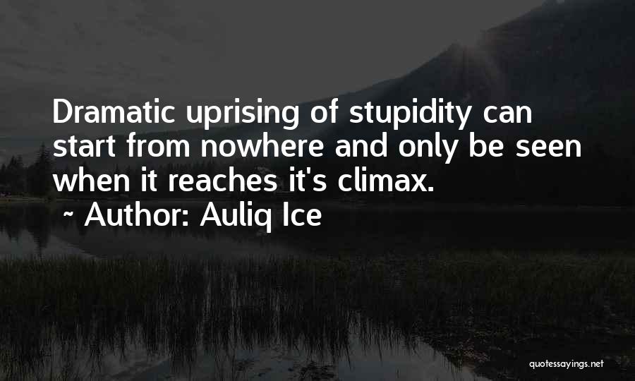 Stupidity And Ignorance Quotes By Auliq Ice