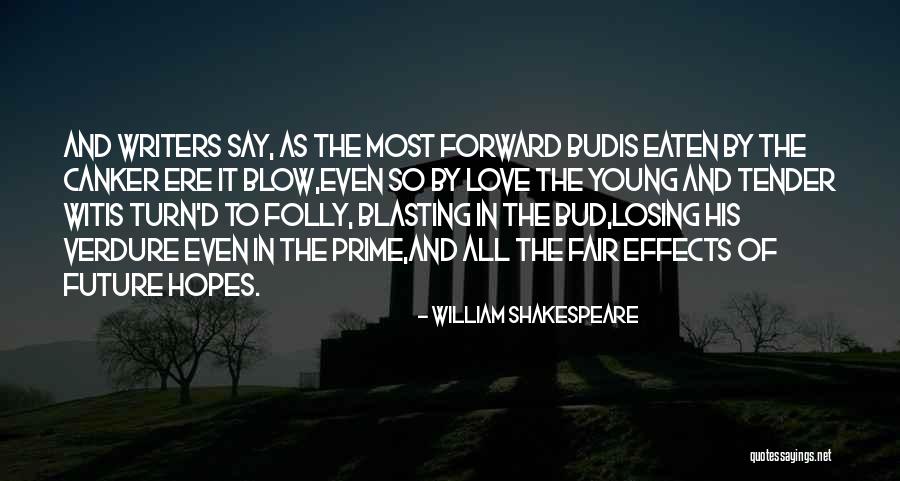 Stupidity And Love Quotes By William Shakespeare