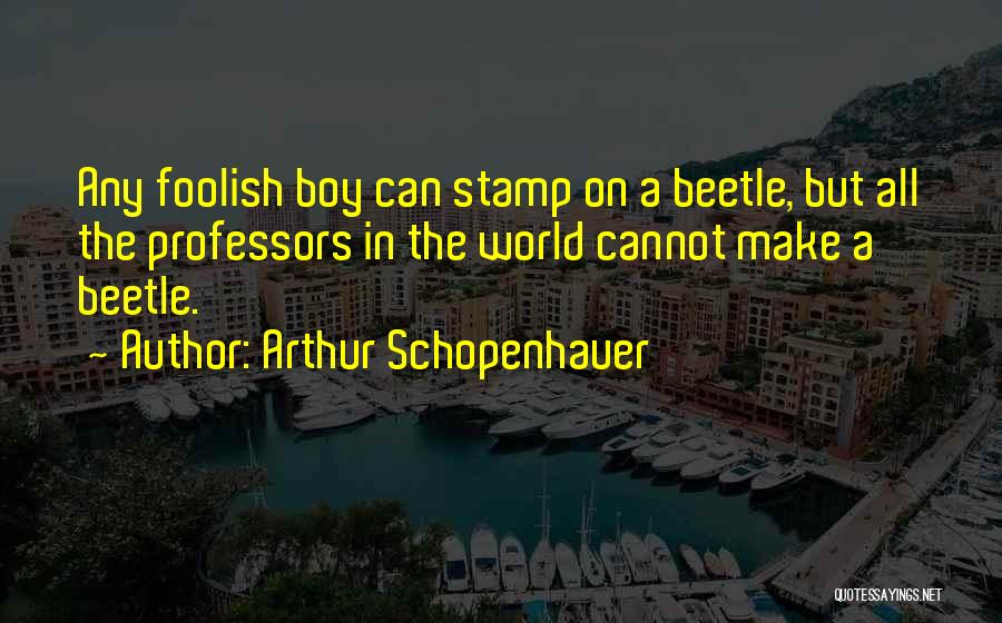 Stupidity In Life Quotes By Arthur Schopenhauer