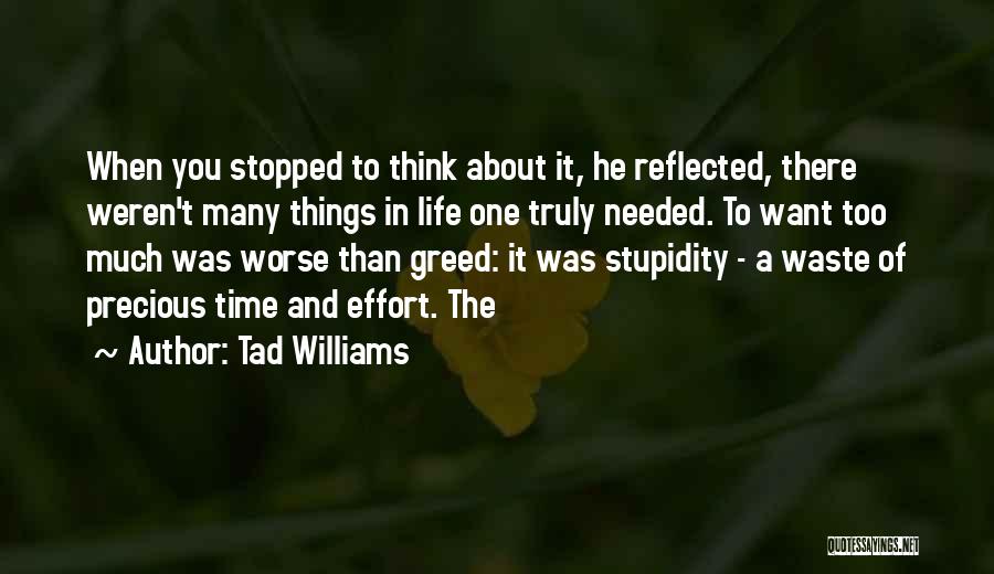 Stupidity In Life Quotes By Tad Williams