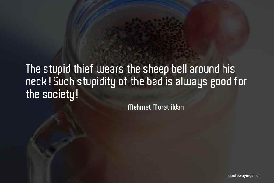 Stupidity Of Society Quotes By Mehmet Murat Ildan Stupidity Of Society Quotes By Mehmet Murat Ildan