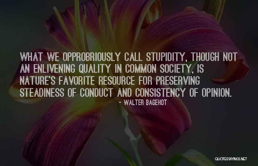 Stupidity Of Society Quotes By Walter Bagehot Stupidity Of Society Quotes By Walter Bagehot