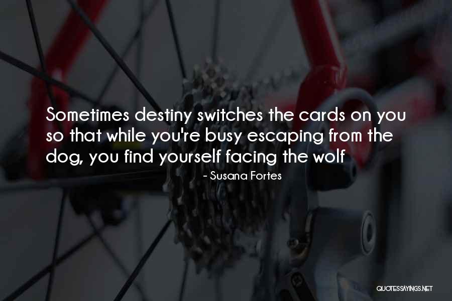 Sturdier Translation Quotes By Susana Fortes Sturdier Translation Quotes By Susana Fortes