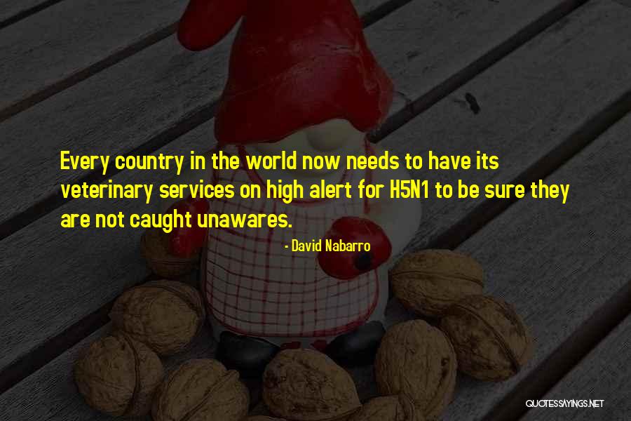 Sturgell Horse Quotes By David Nabarro Sturgell Horse Quotes By David Nabarro