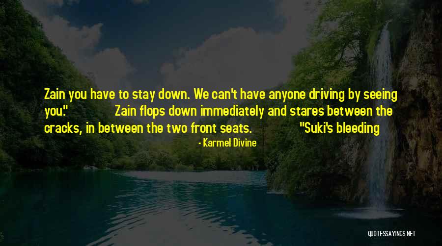 Sturman Larkin Quotes By Karmel Divine Sturman Larkin Quotes By Karmel Divine