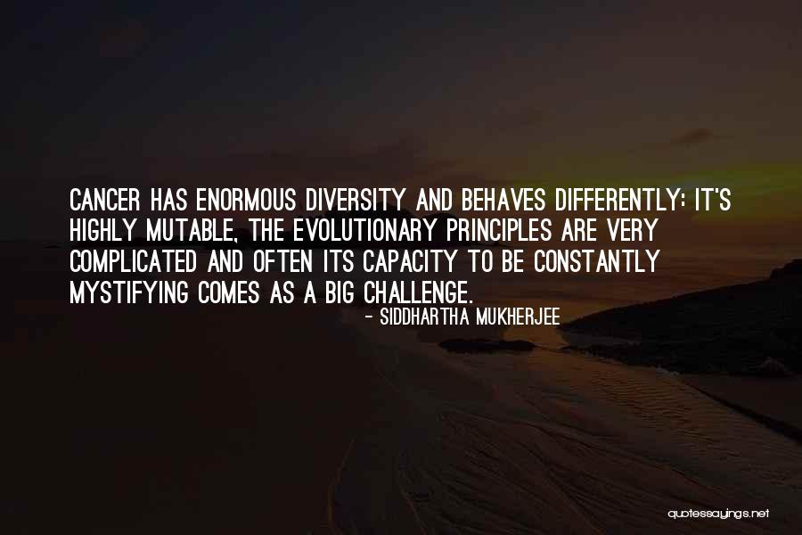 Sturridge Transfermarkt Quotes By Siddhartha Mukherjee Sturridge Transfermarkt Quotes By Siddhartha Mukherjee
