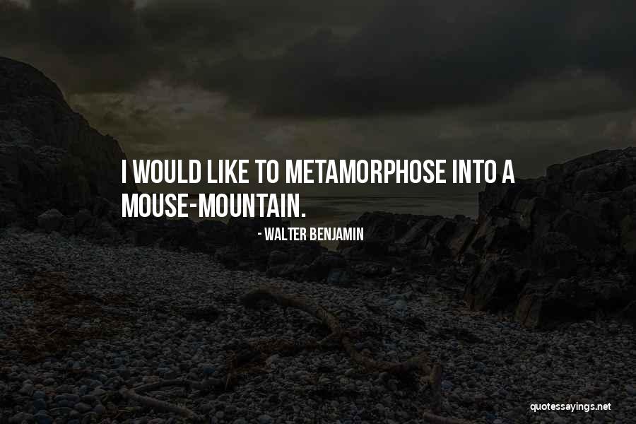 Sturrock Logging Quotes By Walter Benjamin Sturrock Logging Quotes By Walter Benjamin