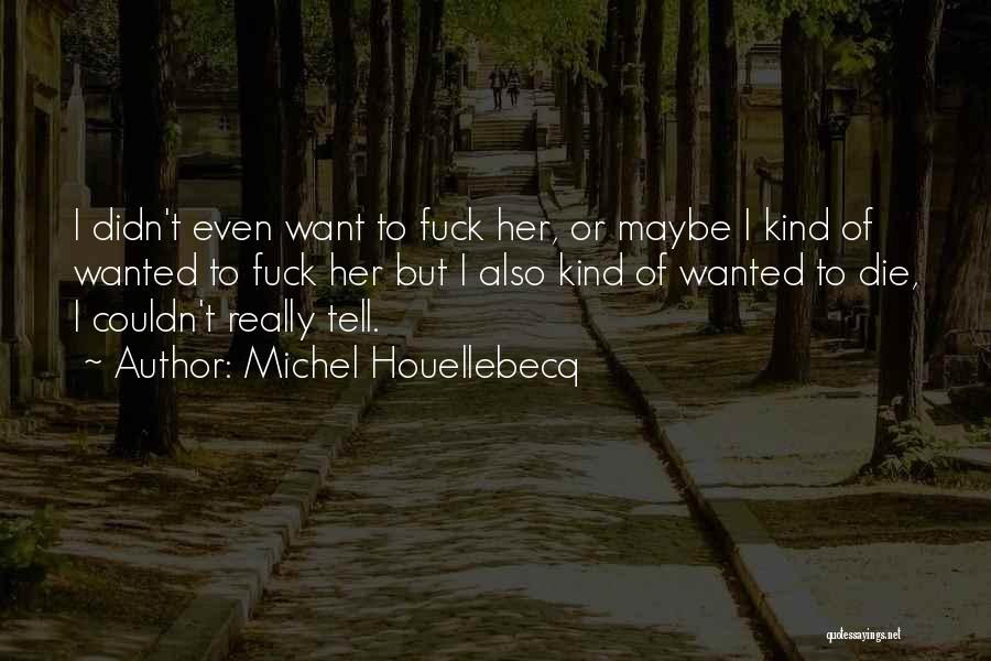 Stuzzichini Quotes By Michel Houellebecq