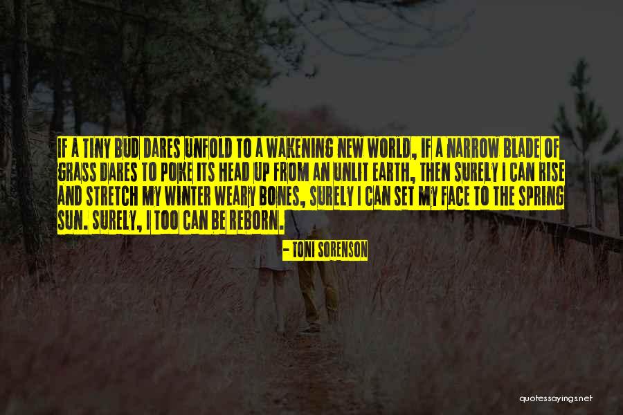 Stv Rnen Quotes By Toni Sorenson Stv Rnen Quotes By Toni Sorenson