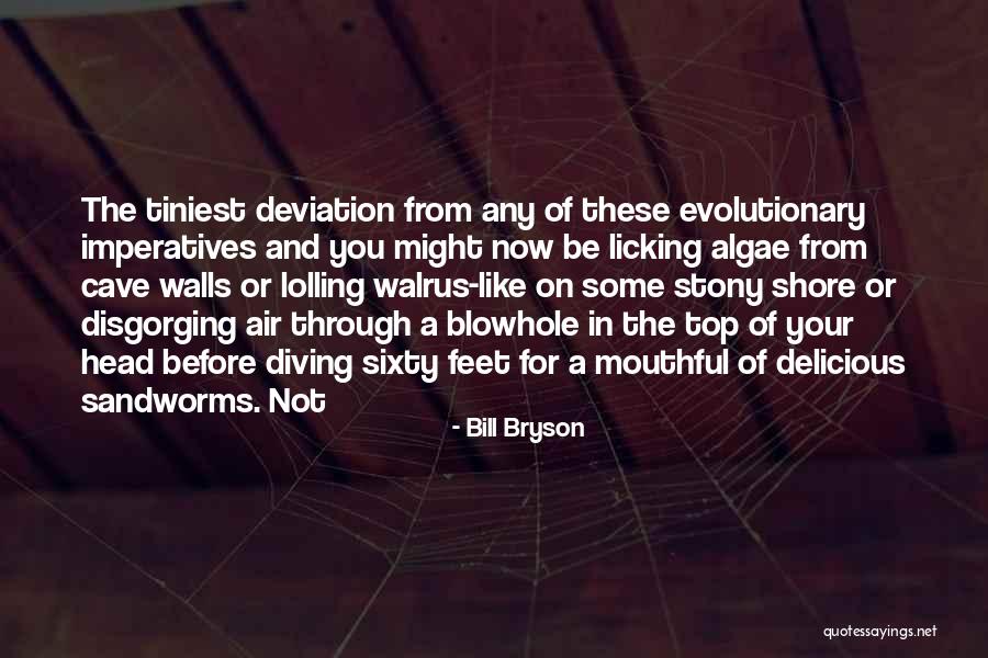 Stvorenje Quotes By Bill Bryson Stvorenje Quotes By Bill Bryson