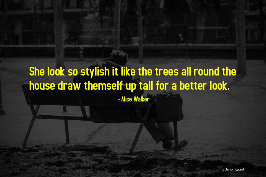 Stylish Quotes By Alice Walker Stylish Quotes By Alice Walker