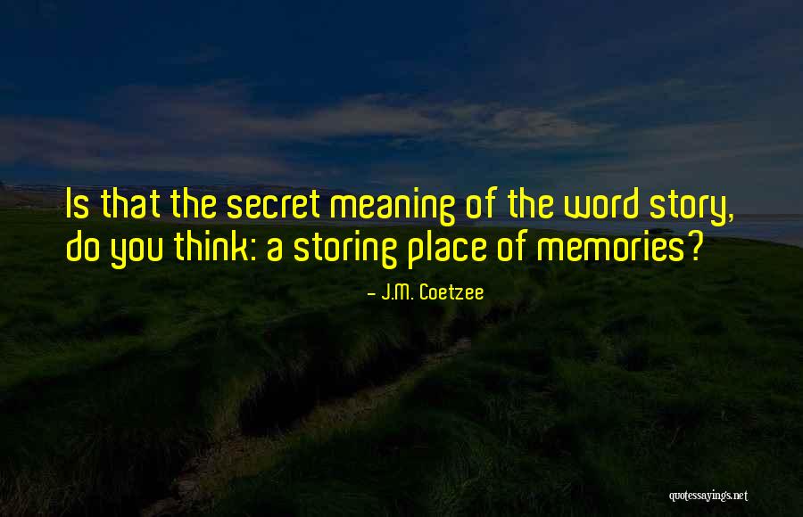 Stylistically Accurate Quotes By J.M. Coetzee Stylistically Accurate Quotes By J.M. Coetzee