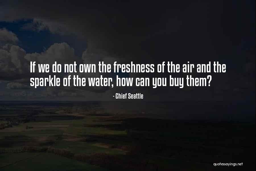 Stylistically Appropriate Quotes By Chief Seattle Stylistically Appropriate Quotes By Chief Seattle