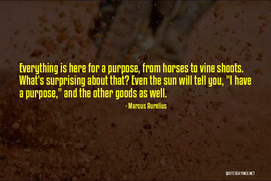 Stymeist Auto Quotes By Marcus Aurelius Stymeist Auto Quotes By Marcus Aurelius