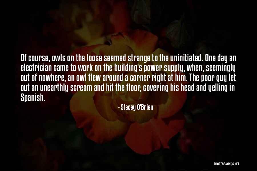 Stymie Font Quotes By Stacey O'Brien Stymie Font Quotes By Stacey O'Brien