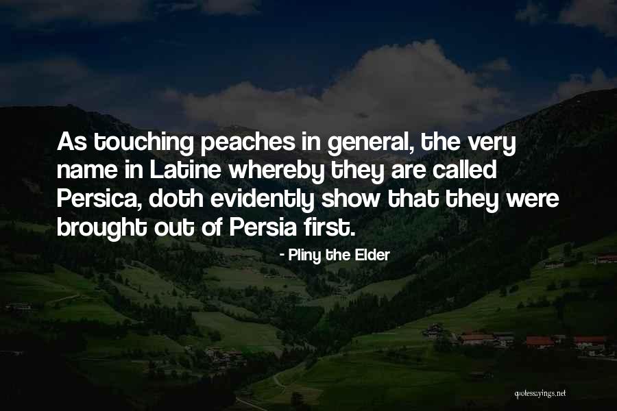 Suami Selingkuh Quotes By Pliny The Elder Suami Selingkuh Quotes By Pliny The Elder