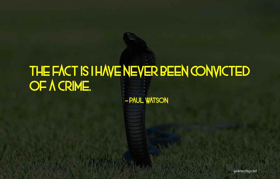 Suarte Shoes Quotes By Paul Watson Suarte Shoes Quotes By Paul Watson