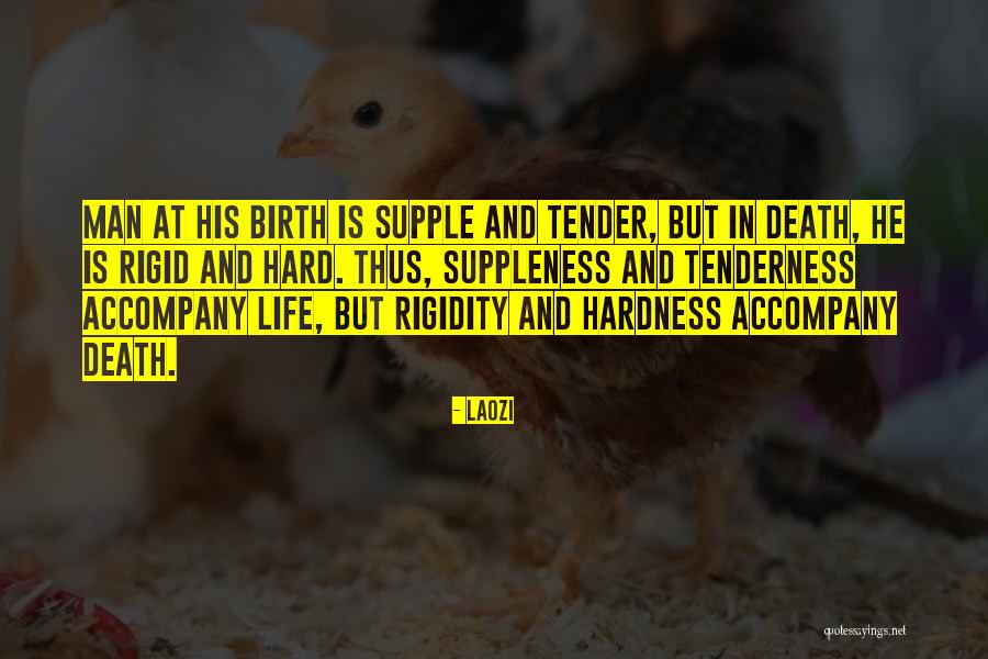 Subclass 500 Quotes By Laozi Subclass 500 Quotes By Laozi