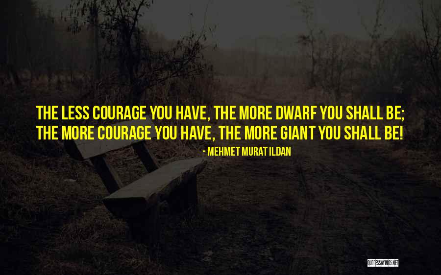 Subclassifications Quotes By Mehmet Murat Ildan Subclassifications Quotes By Mehmet Murat Ildan