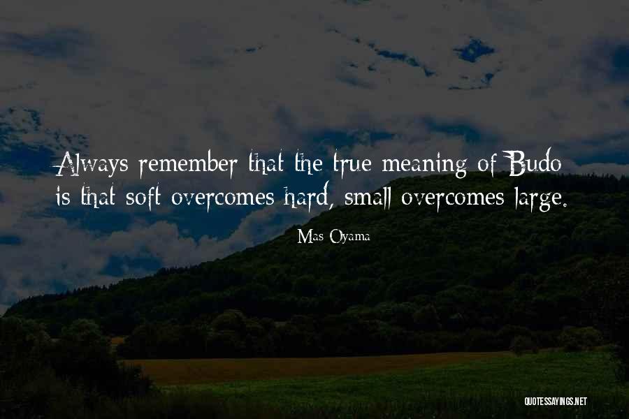Subdivisions Of The Nervous System Quotes By Mas Oyama Subdivisions Of The Nervous System Quotes By Mas Oyama