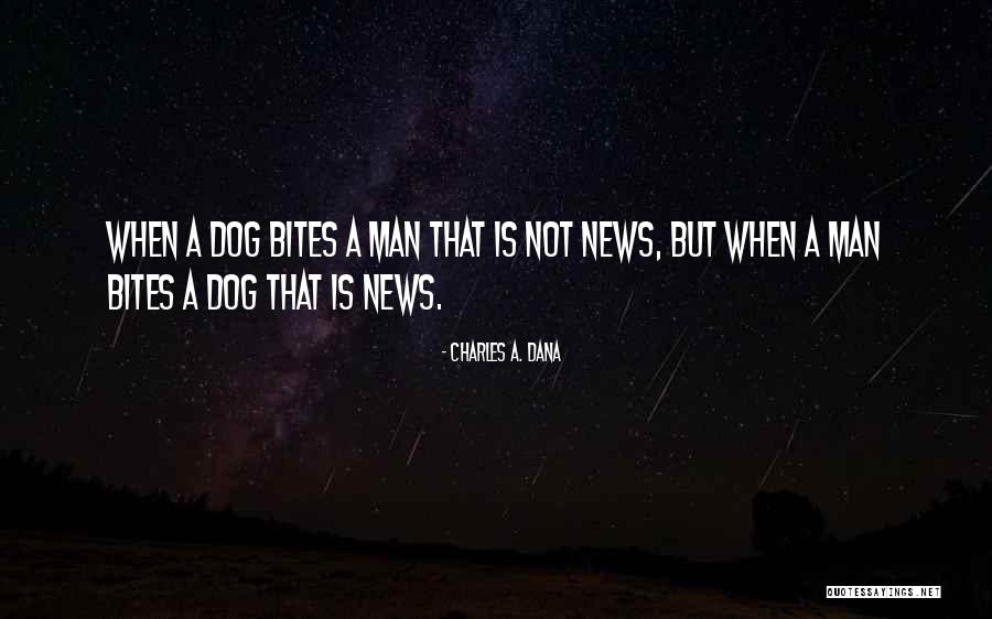 Subedar Bishan Quotes By Charles A. Dana Subedar Bishan Quotes By Charles A. Dana