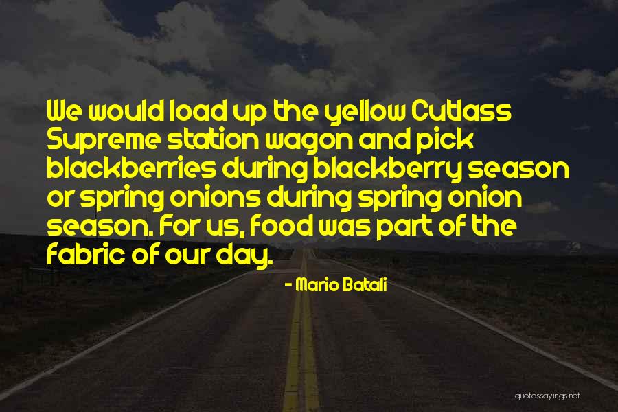 Subgenius Parody Quotes By Mario Batali Subgenius Parody Quotes By Mario Batali