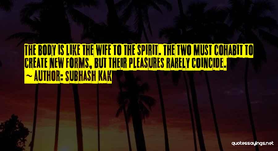 Subhash Kak Quotes 1765107