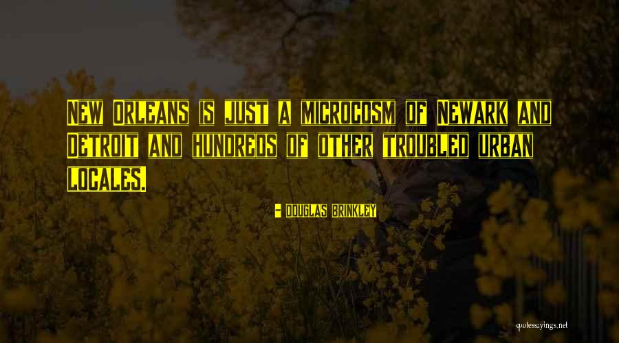 Subhrajit Goon Quotes By Douglas Brinkley Subhrajit Goon Quotes By Douglas Brinkley
