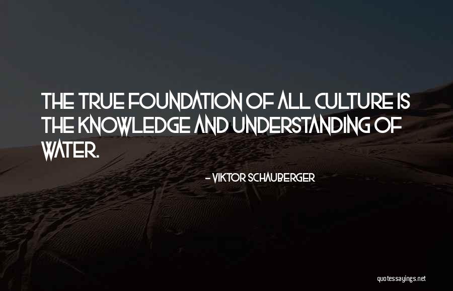 Subirana Nadons Quotes By Viktor Schauberger Subirana Nadons Quotes By Viktor Schauberger