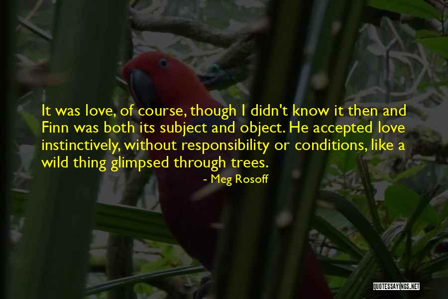 Subject And Object Quotes By Meg Rosoff Subject And Object Quotes By Meg Rosoff