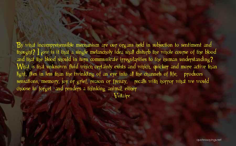 Subject And Object Quotes By Voltaire Subject And Object Quotes By Voltaire