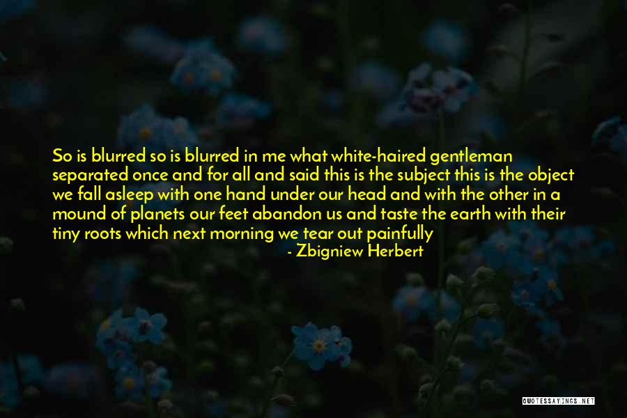 Subject And Object Quotes By Zbigniew Herbert Subject And Object Quotes By Zbigniew Herbert