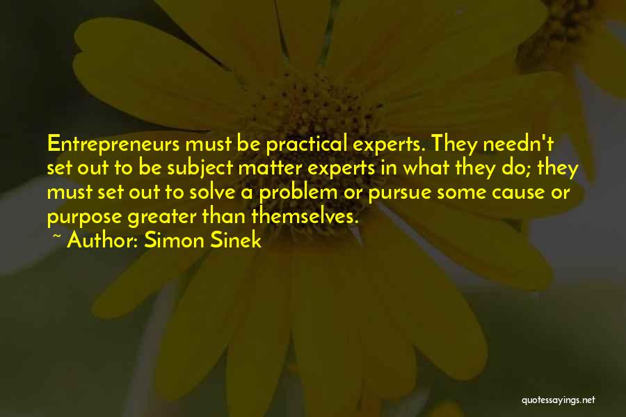 Subject Matter Experts Quotes By Simon Sinek