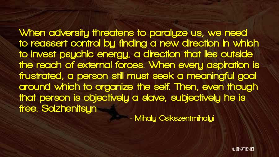 Subjectively And Objectively Quotes By Mihaly Csikszentmihalyi