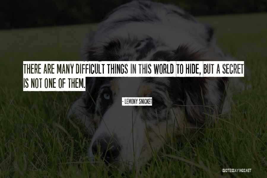 Subjetiva Significado Quotes By Lemony Snicket Subjetiva Significado Quotes By Lemony Snicket