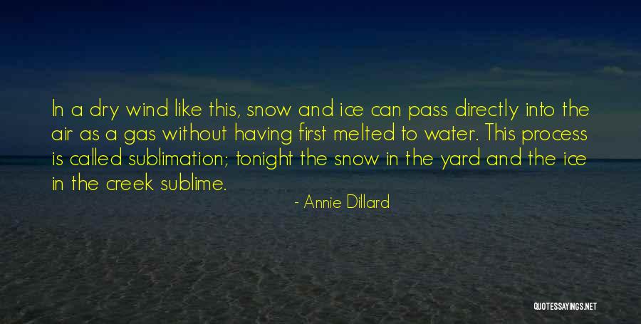 Sublimation Quotes By Annie Dillard