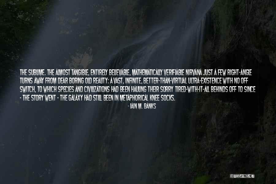 Sublimation Quotes By Iain M. Banks