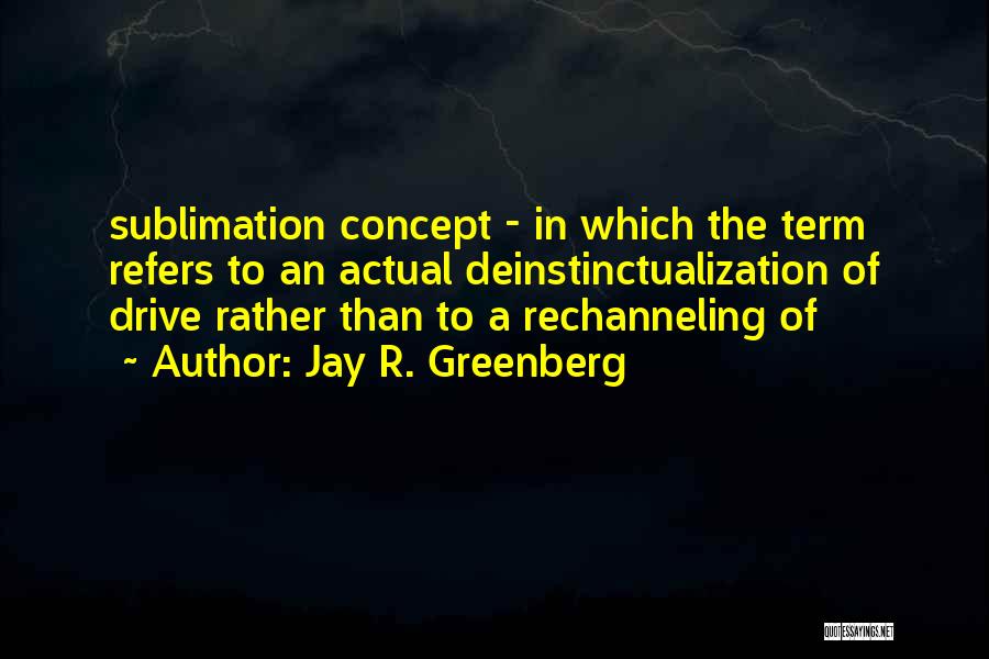 Sublimation Quotes By Jay R. Greenberg