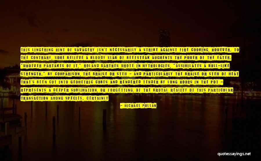 Sublimation Quotes By Michael Pollan Sublimation Quotes By Michael Pollan