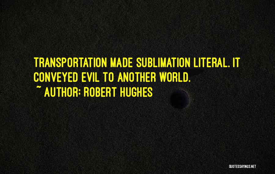 Sublimation Quotes By Robert Hughes
