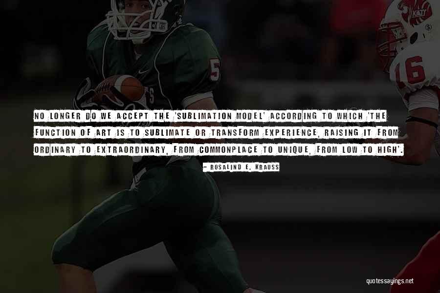 Sublimation Quotes By Rosalind E. Krauss Sublimation Quotes By Rosalind E. Krauss