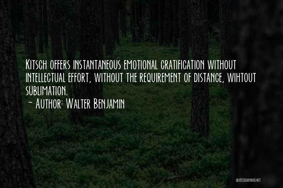 Sublimation Quotes By Walter Benjamin