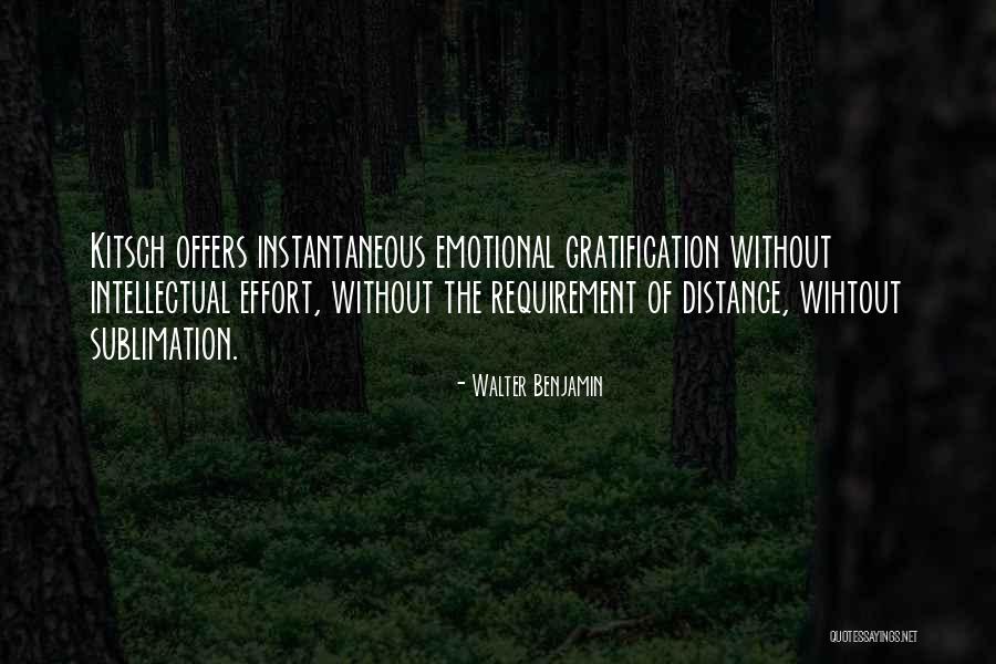 Sublimation Quotes By Walter Benjamin