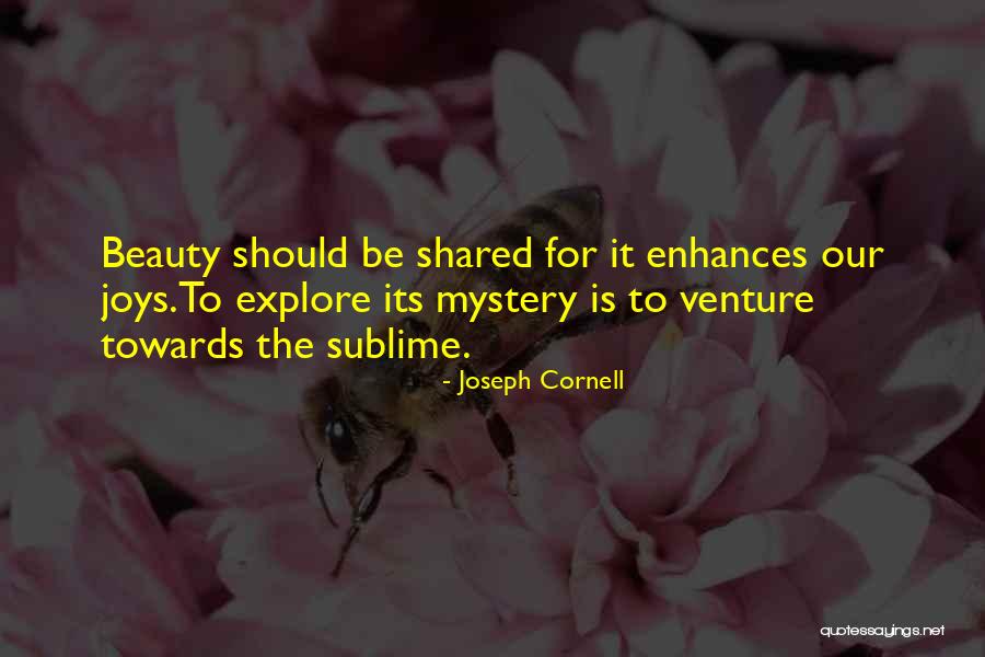 Sublime Beauty Quotes By Joseph Cornell Sublime Beauty Quotes By Joseph Cornell