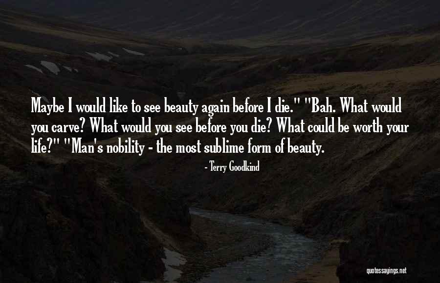 Sublime Beauty Quotes By Terry Goodkind Sublime Beauty Quotes By Terry Goodkind