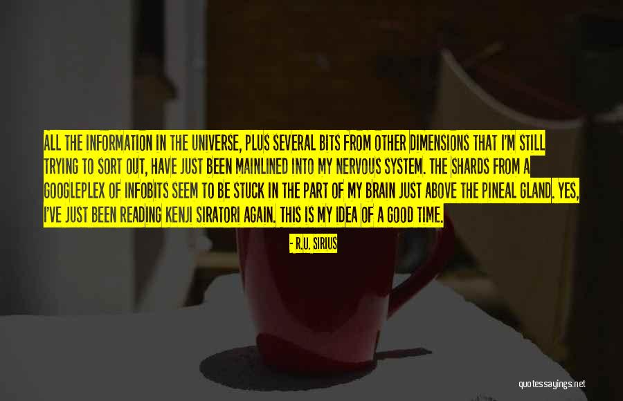 Sublime Friends Quotes By R.U. Sirius Sublime Friends Quotes By R.U. Sirius