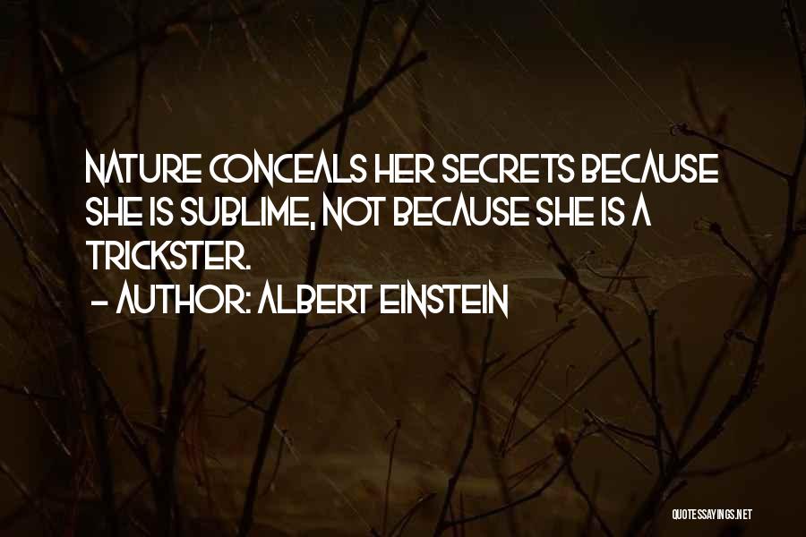 Sublime Nature Quotes By Albert Einstein