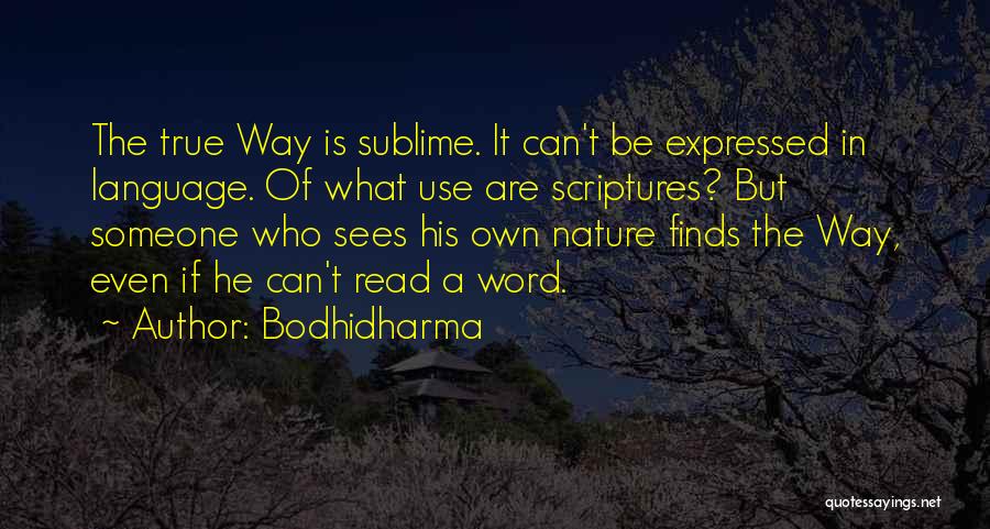 Sublime Nature Quotes By Bodhidharma