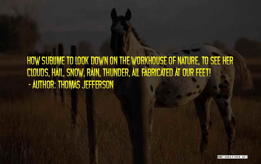 Sublime Nature Quotes By Thomas Jefferson