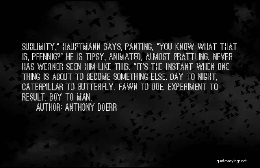 Sublimity Quotes By Anthony Doerr